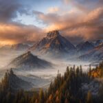 Agentic AI Commerce: The Potential Death Knell for Internet Ads