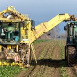 Onyx Security Raises $40M to Tackle Agentic AI Risks