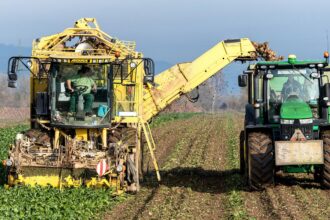 Onyx Security Raises $40M to Tackle Agentic AI Risks