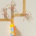 Splitit Revolutionizes In-Person Transactions with Card-Linked Installments